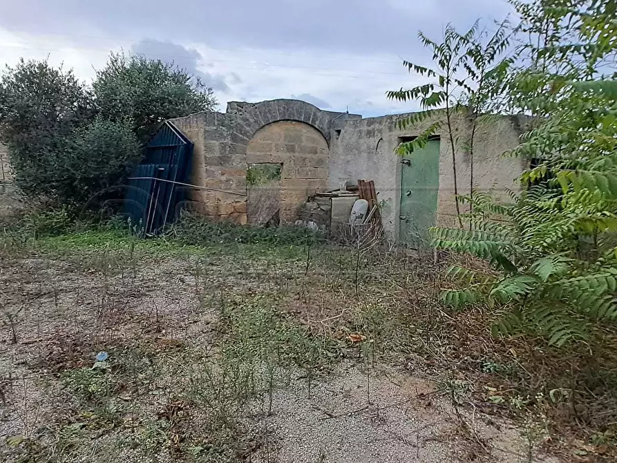 Immagine 9 di Terreno agricolo in vendita  in contrada casazze a Marsala