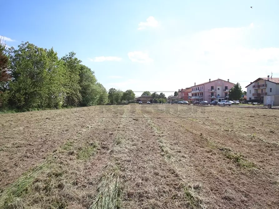 Immagine 4 di Terreno edificabile in vendita  a Castegnero