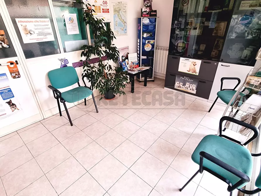 Immagine 9 di Locale commerciale in vendita  a Pescara