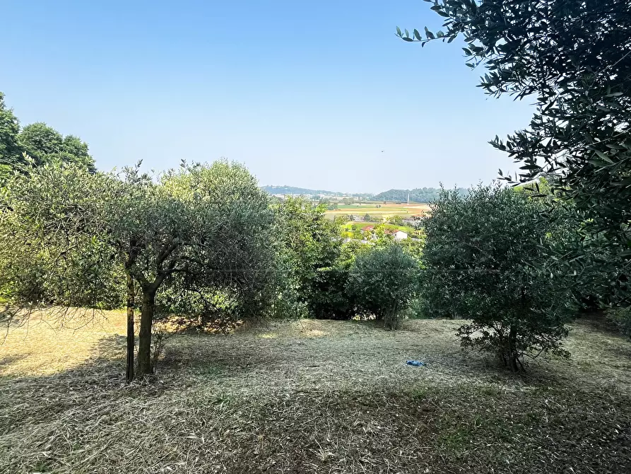 Immagine 16 di Terreno agricolo in vendita  in Via Bazziola a Monteviale