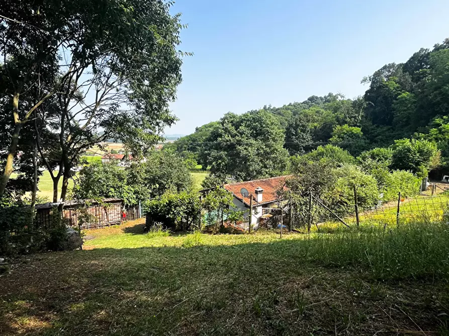 Immagine 5 di Terreno agricolo in vendita  in Via Bazziola a Monteviale