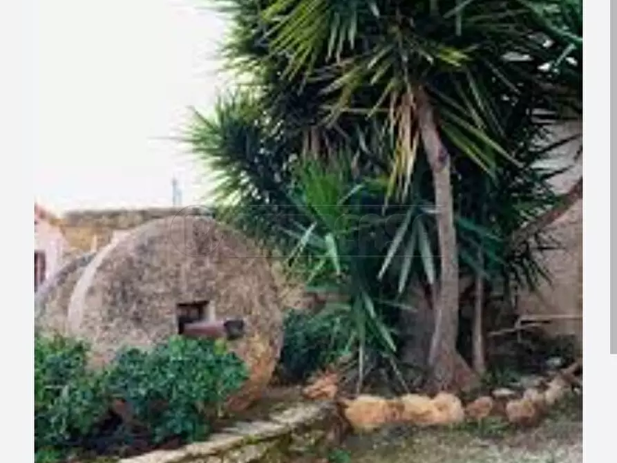 Immagine 15 di Agriturismo in vendita  a Castelvetrano