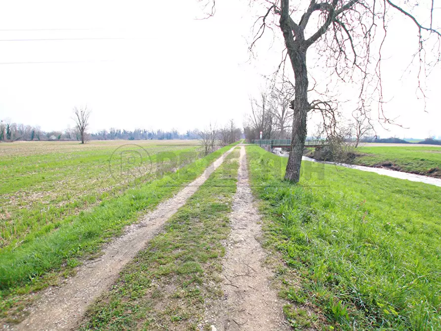 Immagine 7 di Terreno agricolo in vendita  a Villaverla