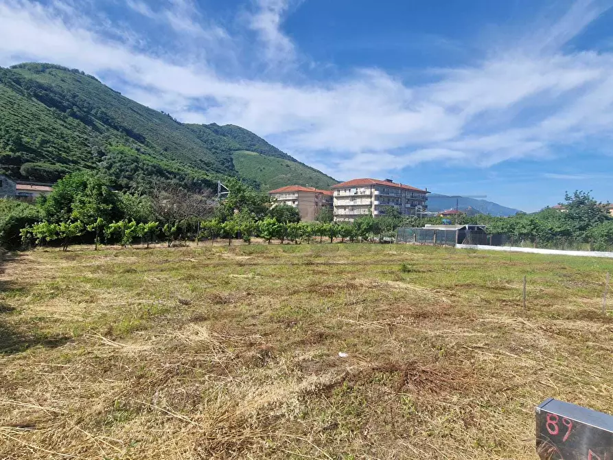 Immagine 1 di Terreno agricolo in vendita  a Mercato San Severino