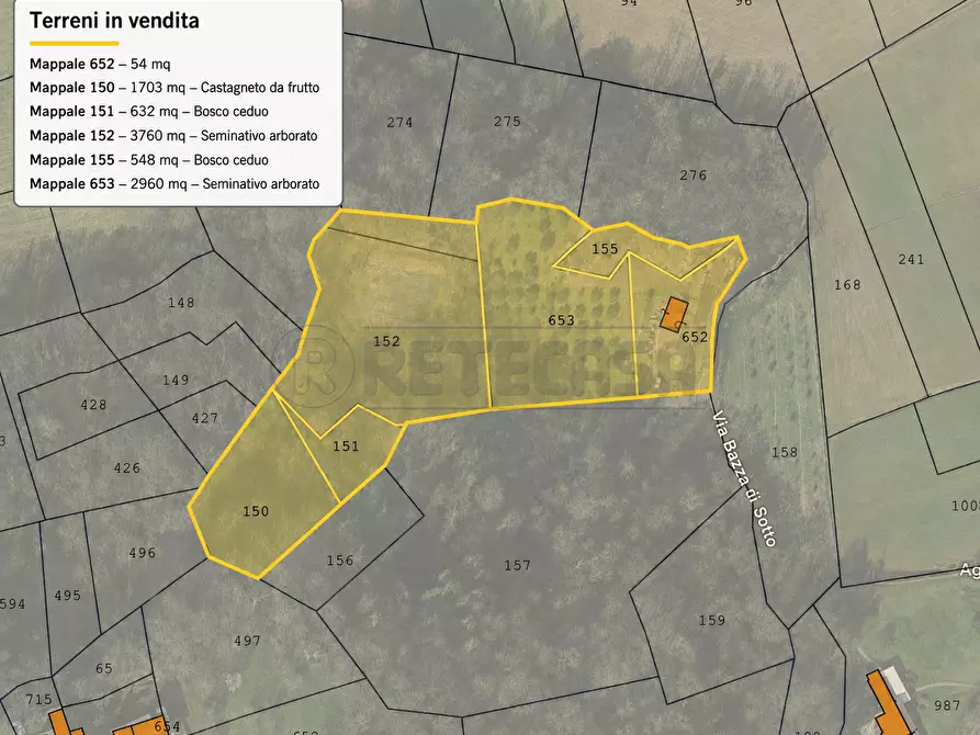 Immagine 53 di Terreno agricolo in vendita  in Via Bazziola a Monteviale