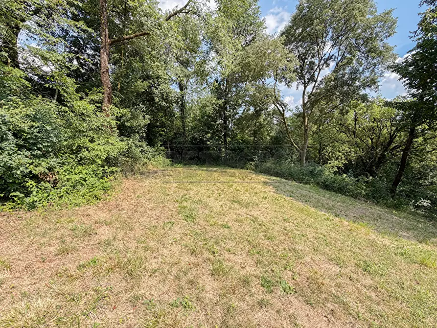 Immagine 8 di Terreno agricolo in vendita  in Via Castegnini di Sopra a Sovizzo