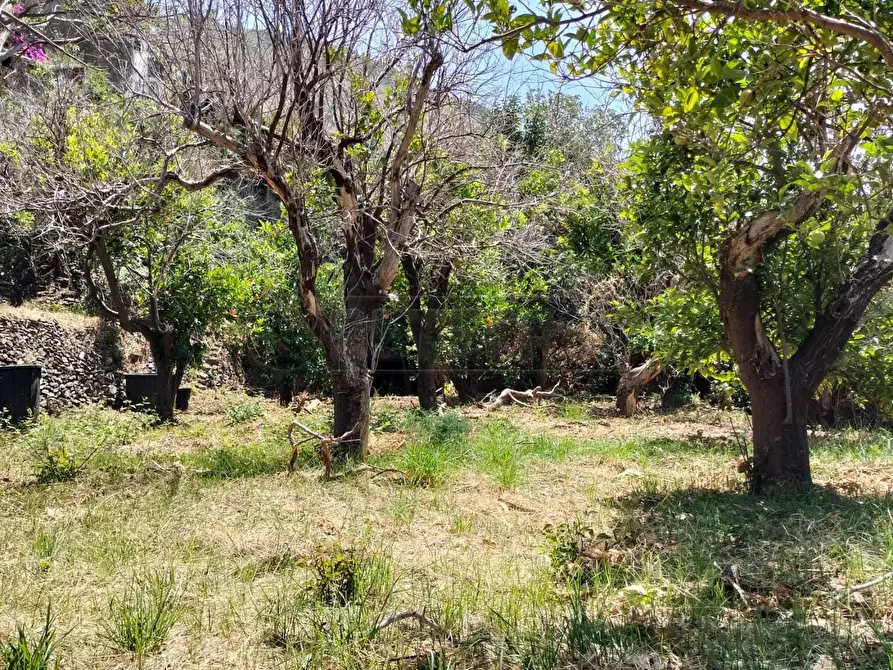 Immagine 20 di Terreno agricolo in vendita  in Vico Trave in Giampilieri Superiore 15 a Messina