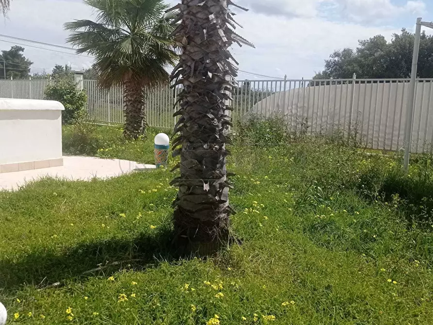 Immagine 11 di Villa in vendita  a Castelvetrano