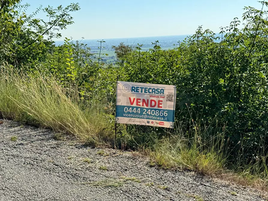 Immagine 3 di Terreno agricolo in vendita  in Via Castellaro a Castegnero