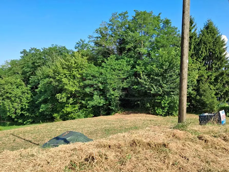 Immagine 5 di Terreno edificabile in vendita  in Via Faldi 15 a Nogarole Vicentino