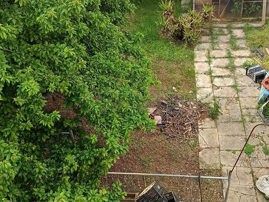 Immagine 12 di Casa semindipendente in vendita  in Via Papa Giovanni XXIII 2 a Cursi