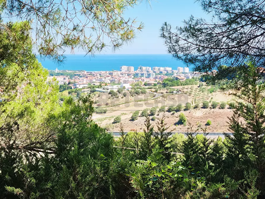 Immagine 29 di Villa in vendita  a Montesilvano