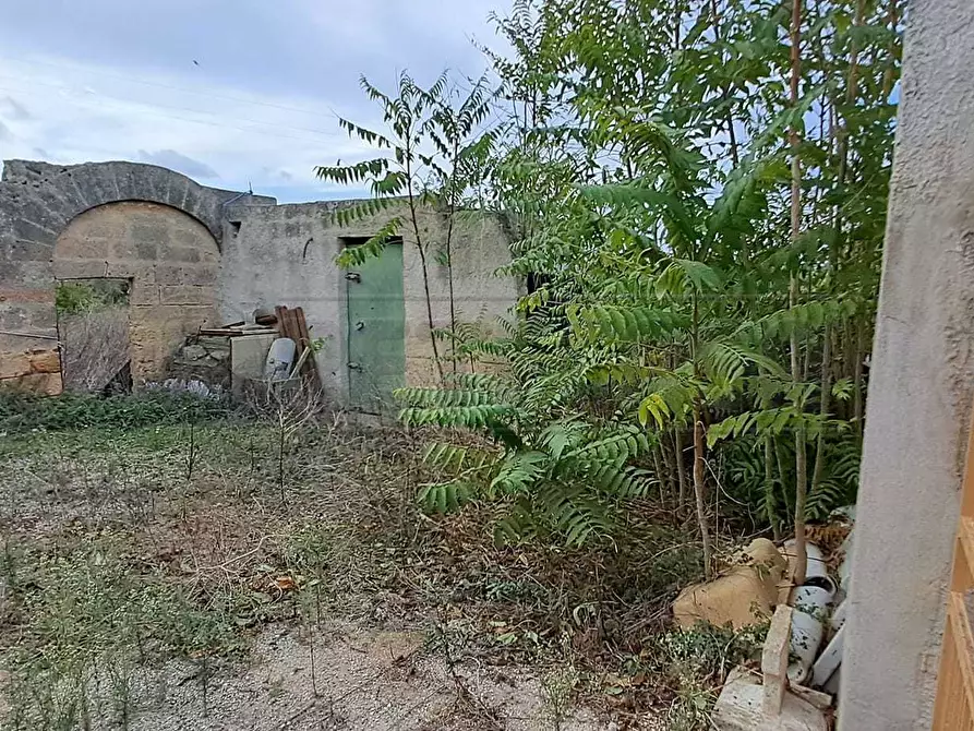 Immagine 5 di Terreno agricolo in vendita  in contrada casazze a Marsala