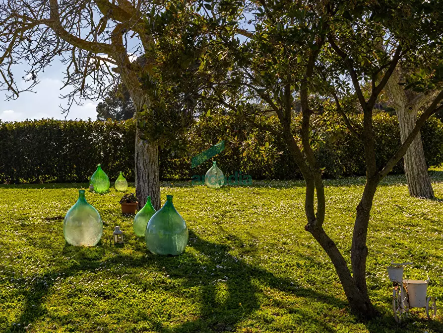 Immagine 43 di Villa in vendita  in Strada Vicinale Vecchia di Matera 369 a Gioia Del Colle
