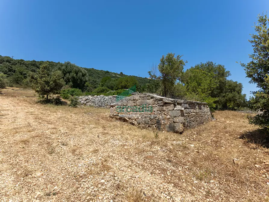 Immagine 19 di Rustico / casale in vendita  in Contrada Torchiano a Monopoli
