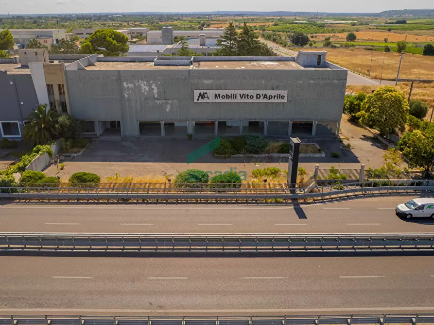 Immagine 1 di Capannone industriale in vendita  in Km 31, 800 a Sammichele Di Bari