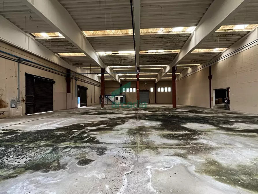 Immagine 7 di Attività artigianale in affitto  in SP231 KM 3,800 a Bitonto