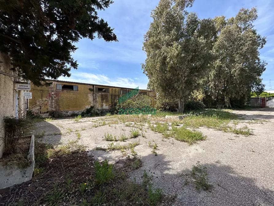 Immagine 10 di Attività artigianale in vendita  in Strada Rurale Mammagnora 3 a Bari