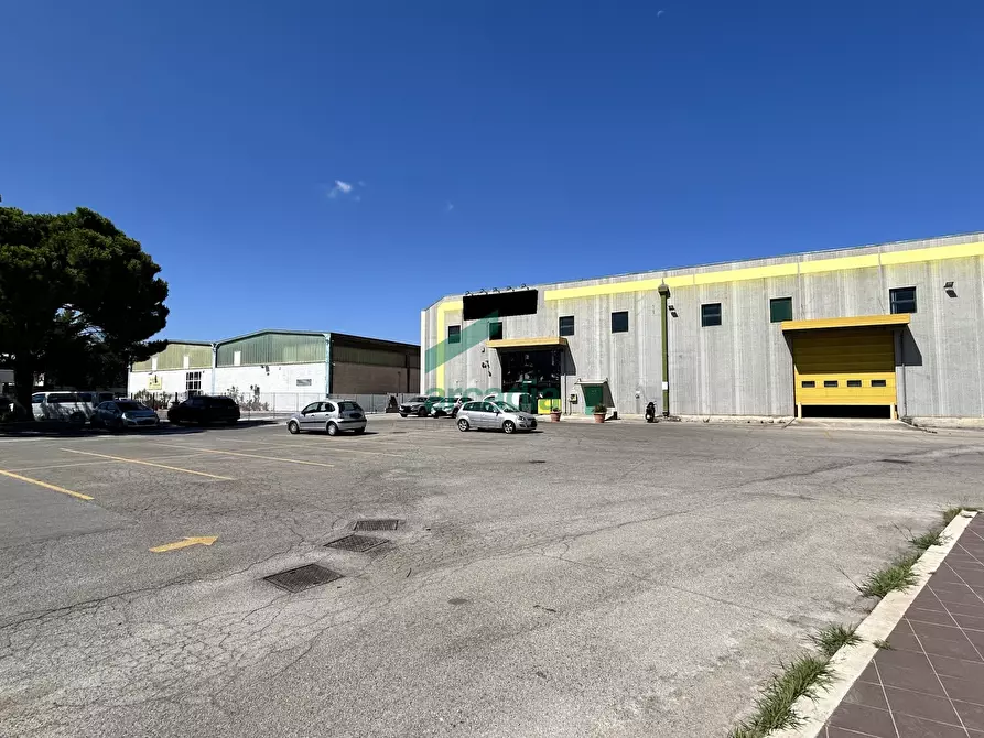 Immagine 18 di Attività artigianale in vendita  in Strada Provinciale Palese-modugno 12 a Modugno