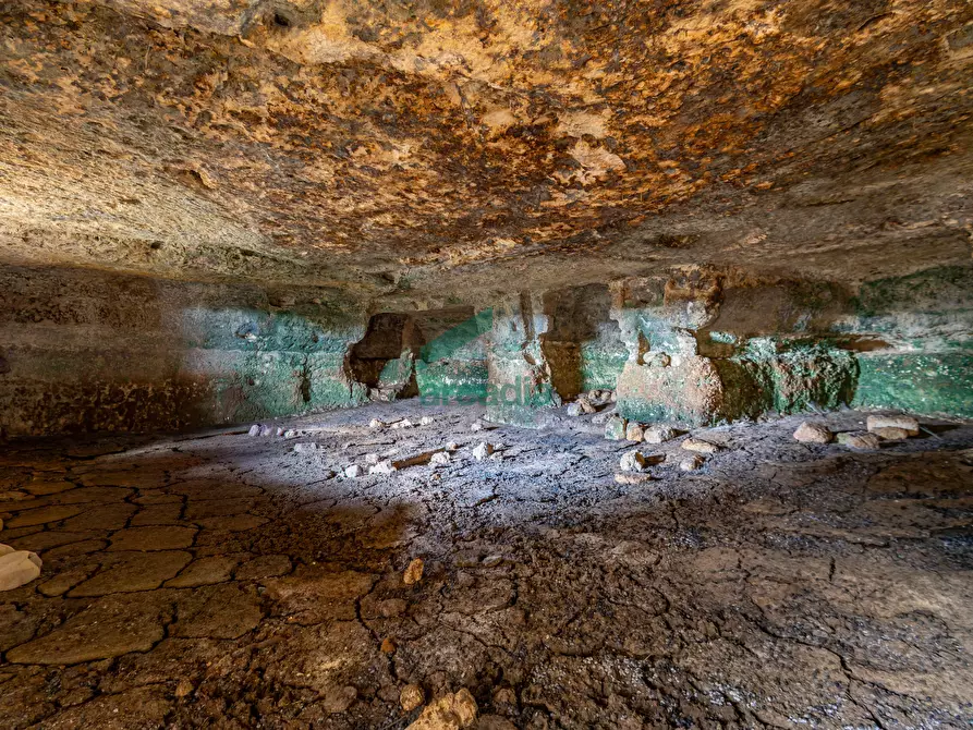 Immagine 31 di Rustico / casale in vendita  in Contrada Cristo delle Zolle 209 a Monopoli