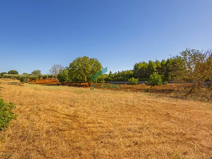 Immagine 7 di Rustico / casale in vendita  in Contrada Scrasciolla 13 a Alberobello