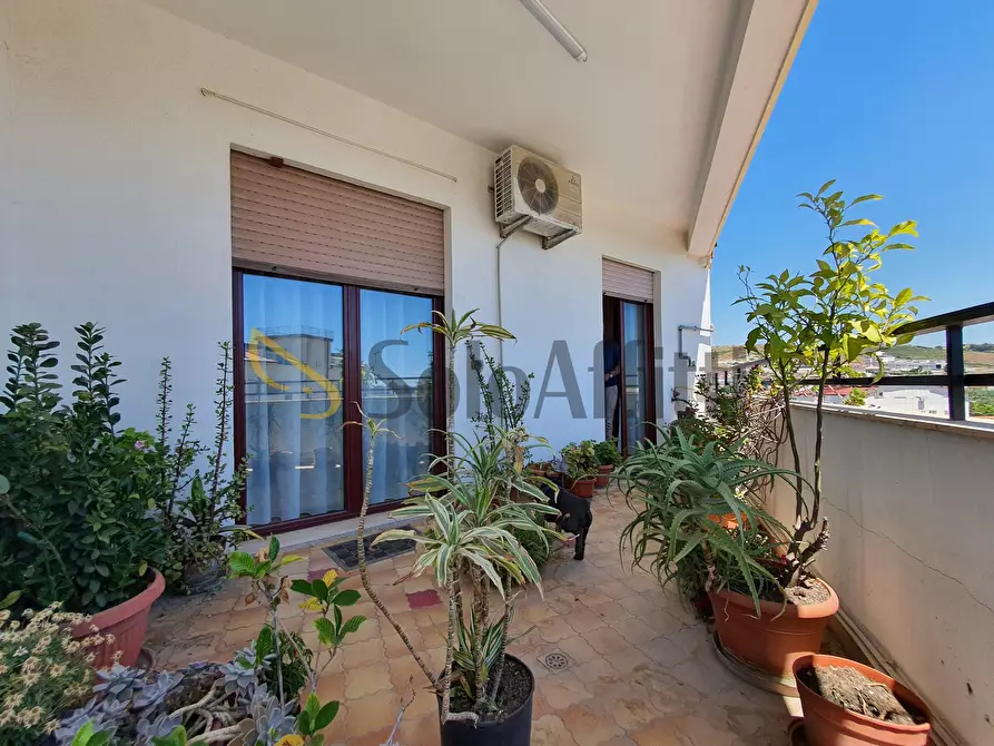 Immagine 1 di Trilocale in affitto  a Catanzaro