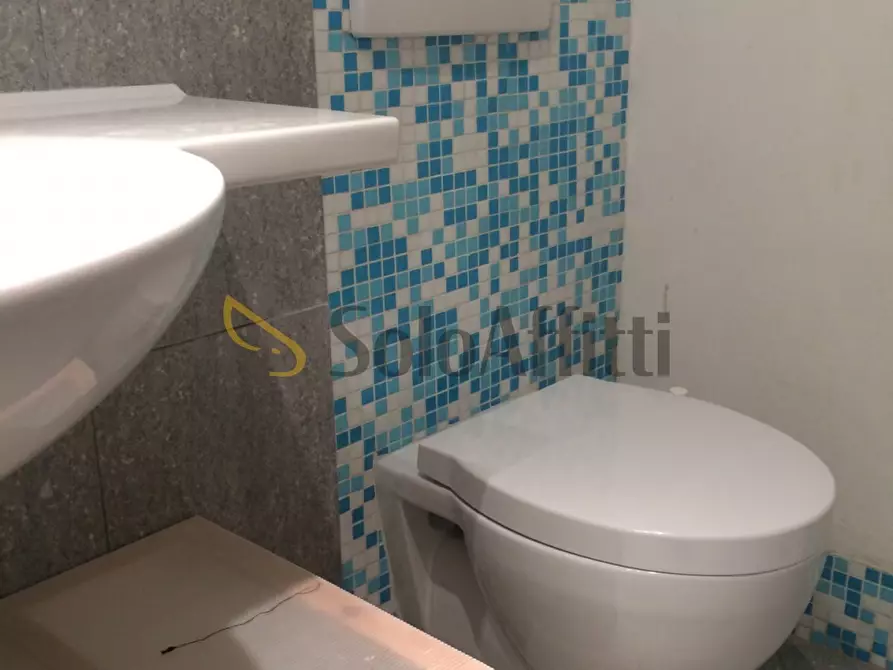 Immagine 22 di Quadrilocale in affitto  in Francia a Torino