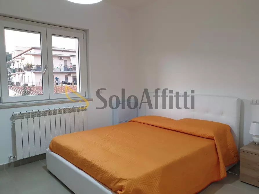 Immagine 11 di Trilocale in affitto  a Catanzaro
