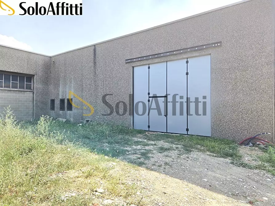 Immagine 6 di Capannone industriale in affitto  in Via delle Viole a Cogliate