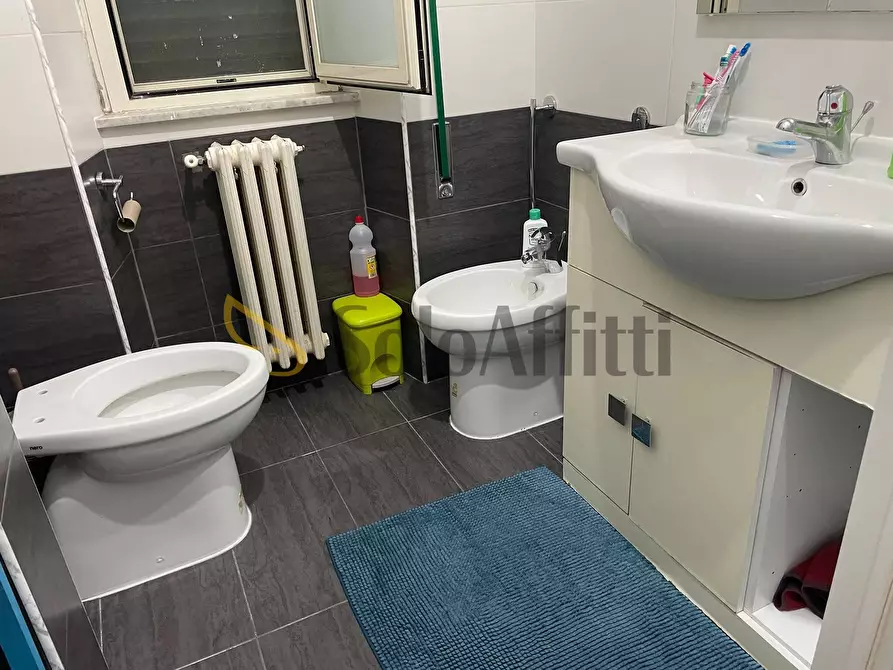 Immagine 11 di Bilocale in affitto  in Via del Cipresso 51 a Frosinone