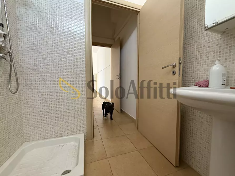 Immagine 9 di Capannone industriale in affitto  in Via Milazzo 34 a Catanzaro