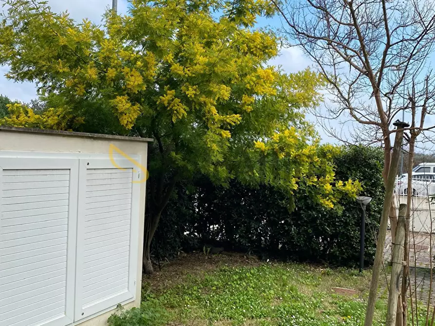 Immagine 19 di Bilocale in affitto  in Via Agostino Gemelli 14 a Rimini