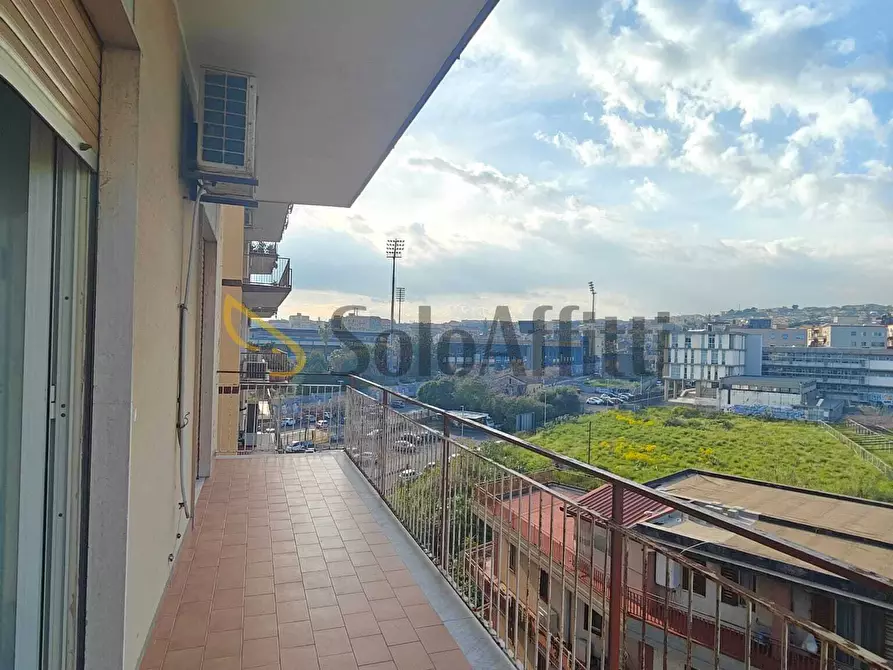 Immagine 13 di Trilocale in affitto  a Catania