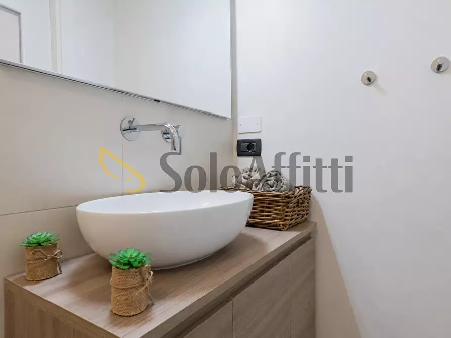 Immagine 33 di Monolocale in affitto  in Corso Palestro 9 a Torino