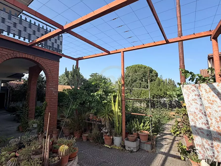 Immagine 2 di Appartamento in vendita  a Mascalucia