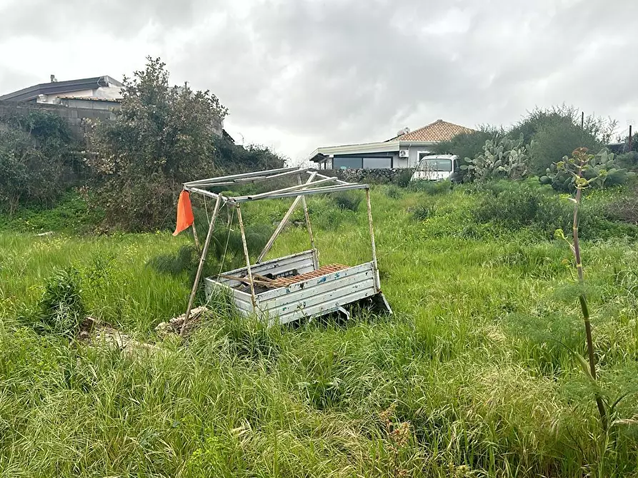 Immagine 6 di Terreno agricolo in vendita  a San Pietro Clarenza