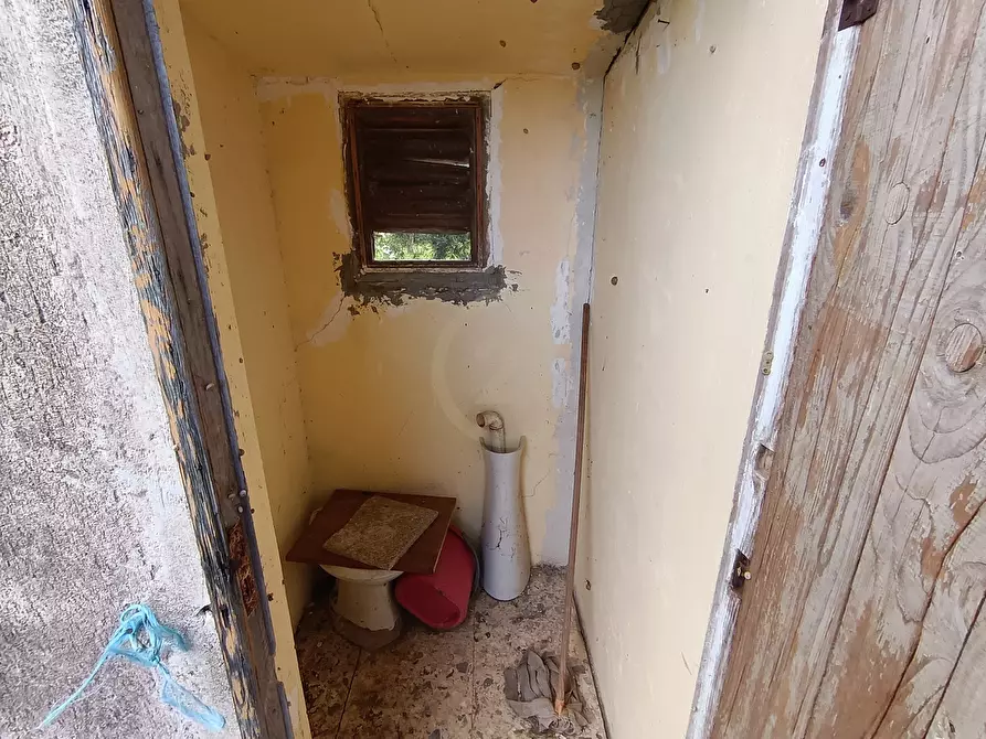 Immagine 4 di Terreno agricolo in vendita  in GRV6+27 Paternò, Città metropolitana di Catania a Paterno'