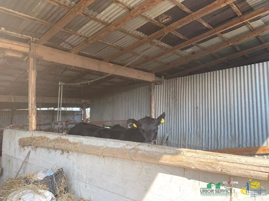 Immagine 12 di Terreno agricolo in vendita  in Miano a Medesano