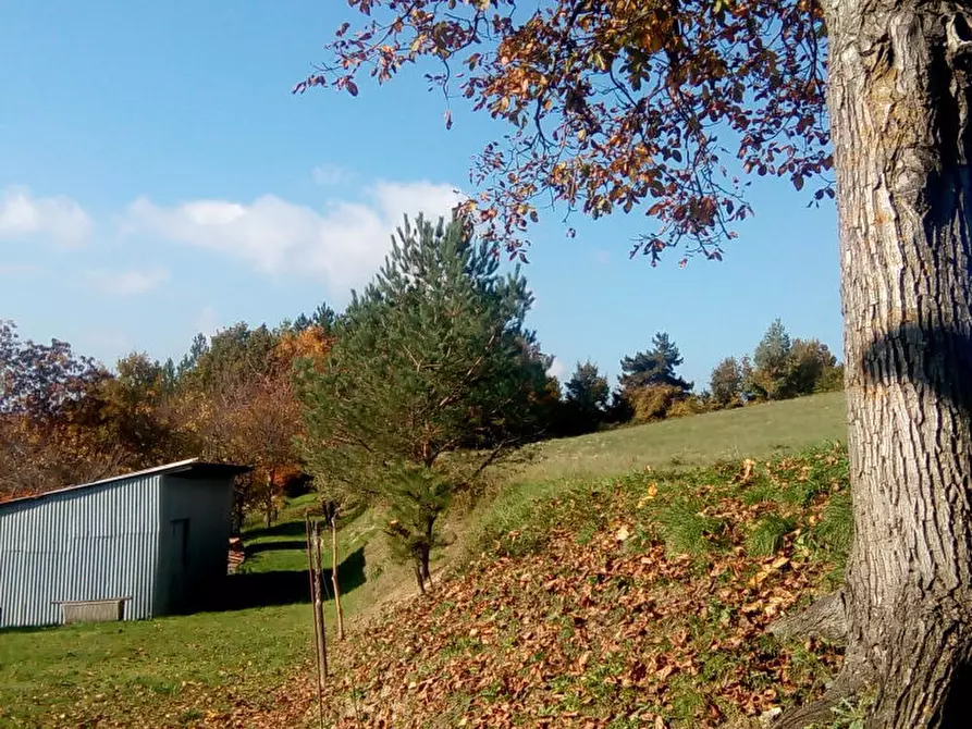 Immagine 28 di Casa bifamiliare in vendita  in Strada Canesio a Pellegrino Parmense