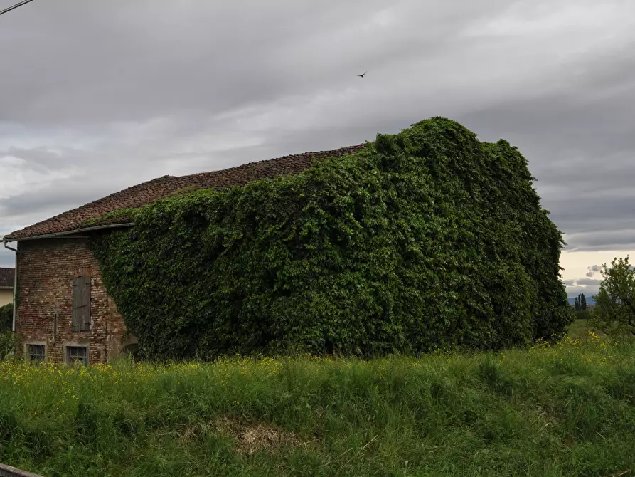 Immagine 11 di Rustico / casale in vendita  in Strada Colmignola 2 a San Secondo Parmense