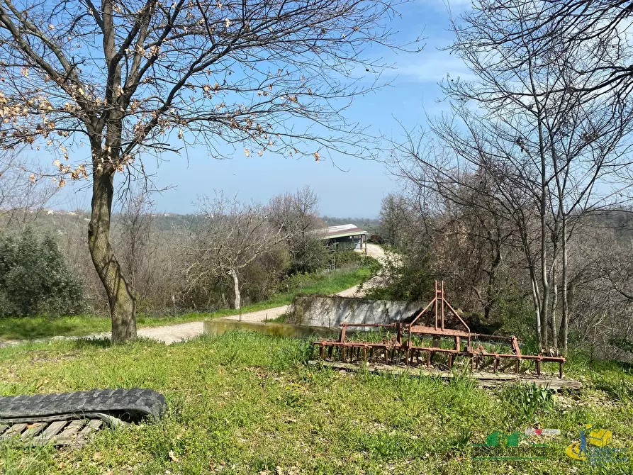 Immagine 20 di Terreno agricolo in vendita  in Miano a Medesano