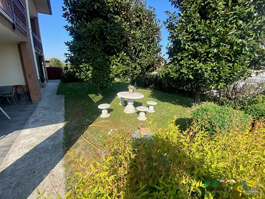 Immagine 5 di Villa in vendita  in Via Ottavio Ricci 20 a Fontanellato