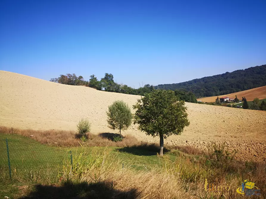 Immagine 2 di Terreno agricolo in vendita  in Strada delle Vigne 3 a Sala Baganza