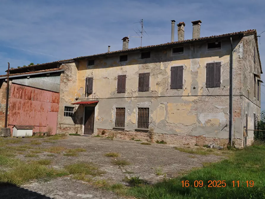 Immagine 47 di Rustico / casale in vendita  in San Quirico a Sissa Trecasali