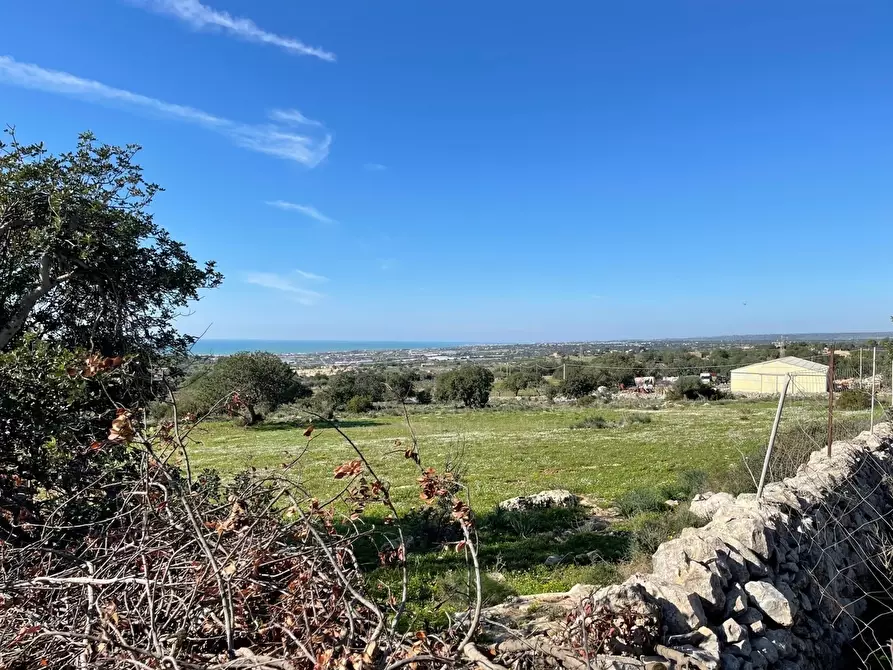 Immagine 7 di Terreno agricolo in vendita  in Contrada San Marco a Scicli