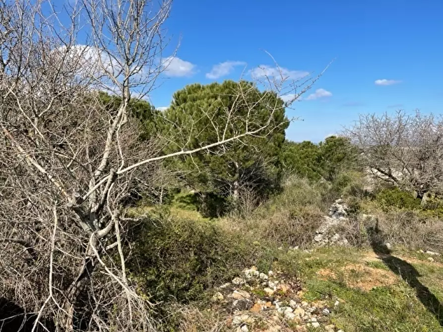Immagine 2 di Casa indipendente in vendita  in Strada Provinciale 4 a Noto