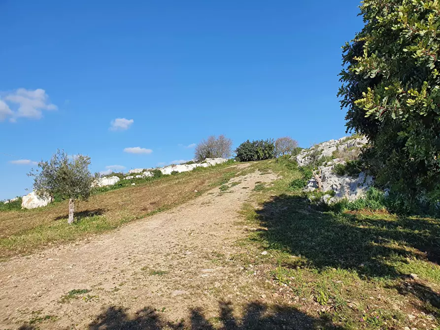 Immagine 20 di Rustico / casale in vendita  a Modica