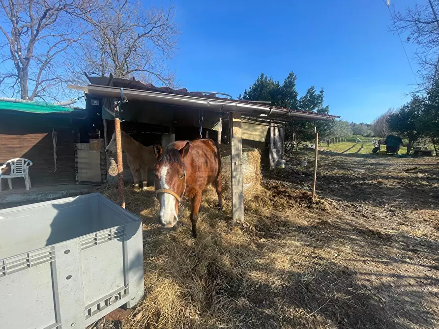 Immagine 11 di Rustico / casale in vendita  in Via dei bertolotti a Lucca