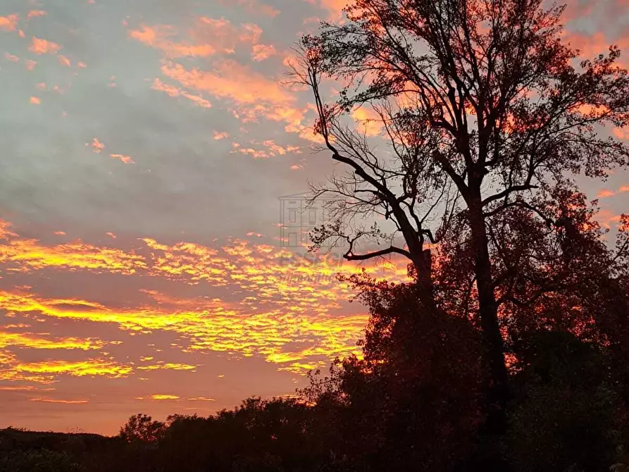 Immagine 20 di Villa in vendita  a Lucca