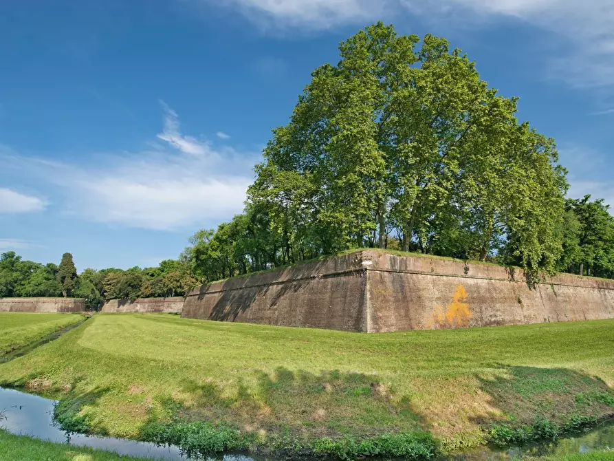 Immagine 1 di Bar / Ristorante in vendita  in Via Beccheria 35 a Lucca